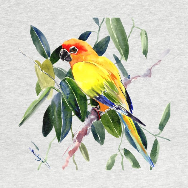 Sun conure by surenart